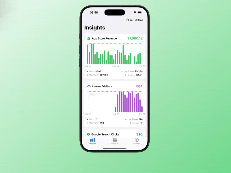 App Store Revenue tracking interface